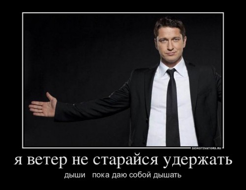 822961_ya-veter-ne-starajsya-uderzhat_demotivators_ru[1].jpg
