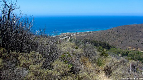 leo-carrillo-state-park-03.jpg