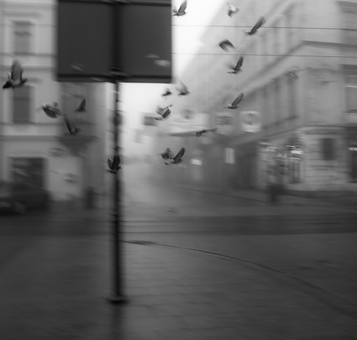 366326_500538.jpg