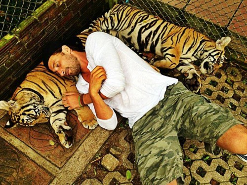 Mat Tiger.jpg