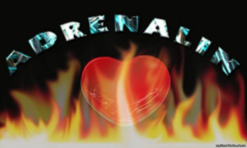 adrenalin.jpg