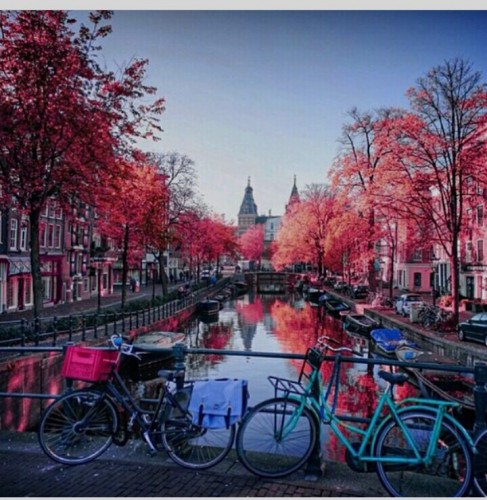 Screenshot_2015-11-12-12-52-29_1.jpg