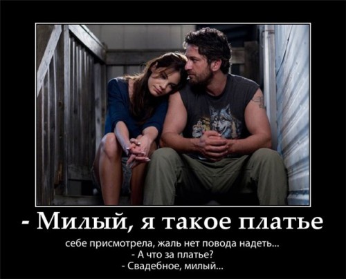 655dc7237e3e.jpg