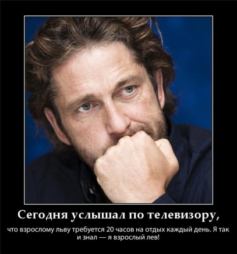 6fc79e795f0c.jpg