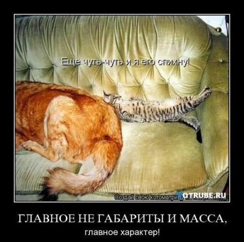 http://gbutler.ru/forum/download/file.php?id=4892&amp;t=1