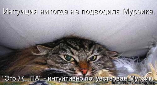 http://gbutler.ru/forum/download/file.php?id=4898&amp;t=1