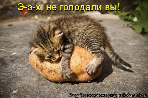 http://gbutler.ru/forum/download/file.php?id=4999&amp;t=1