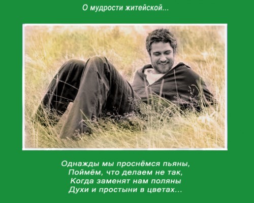 Панычева Н.