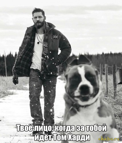CBb15Y9rR5E.jpg