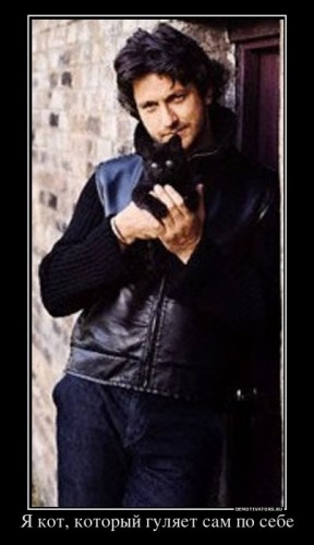 528422_ya-kot-kotoryij-gulyaet-sam-po-sebe_demotivators_ru[1].jpg