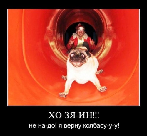 80427620_demotivator0032[1].jpg