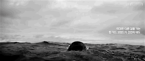 tumblr_o3g2wx1y711qde7iyo6_500.gif