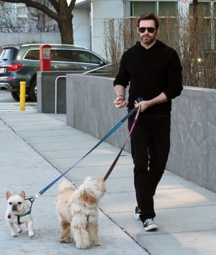Hugh+Jackman+Hugh+Jackman+Walks+Dogs+NYC+9aDGpAWN6hnl.jpg