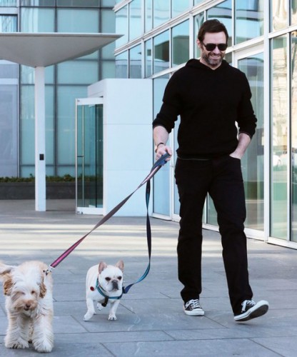 Hugh+Jackman+Hugh+Jackman+Walks+Dogs+NYC+DepYIncQFbMl.jpg