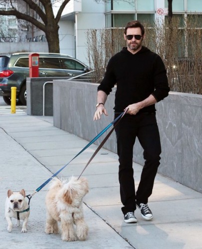 Hugh+Jackman+Hugh+Jackman+Walks+Dogs+NYC+hnZWpsMMQTll.jpg