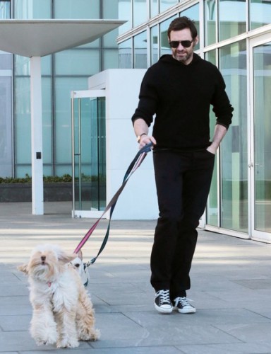 Hugh+Jackman+Hugh+Jackman+Walks+Dogs+NYC+LglcIP8LX2nl.jpg