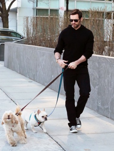Hugh+Jackman+Hugh+Jackman+Walks+Dogs+NYC+Ry6Ve62rLdCl.jpg