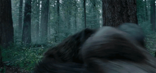 bear_attack.gif
