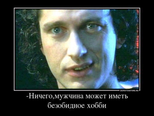 575461_-nichegomuzhchina-mozhet-imet-bezobidnoe-hobbi_demotivators_ru[1].jpg