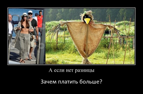 imgonline-com-ua-demotivatorS3PCiNxUELik.jpg