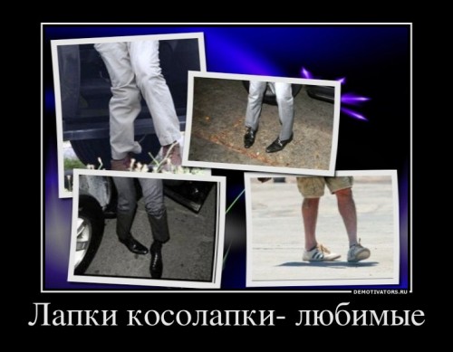 121550_lapki-kosolapki-lyubimyie_demotivators_ru[1].jpg