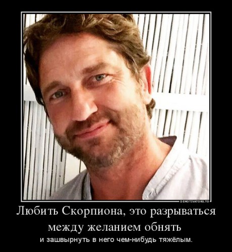 583237_lyubit-skorpiona-eto-razryivatsya-mezhdu-zhelaniem-obnyat-_demotivators_to.jpg