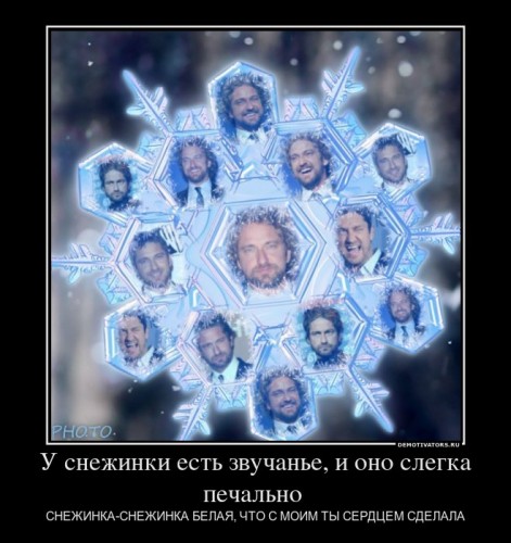 768841_u-snezhinki-est-zvuchane-i-ono-slegka-pechalno-_demotivators_ru[1].jpg
