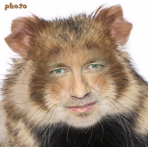 Без названия (1).png
