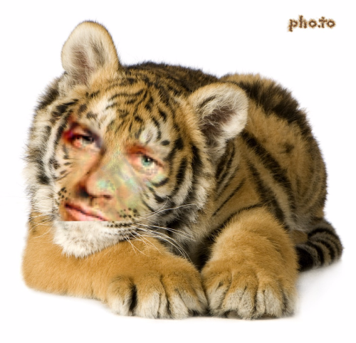 Без названия (4).png