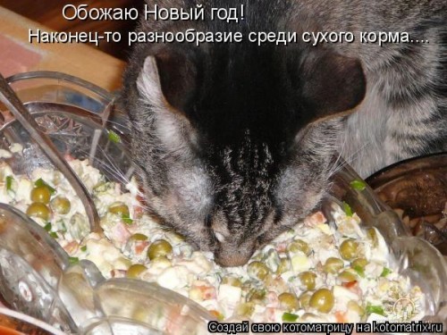 http://gbutler.ru/forum/download/file.php?id=6556&amp;t=1