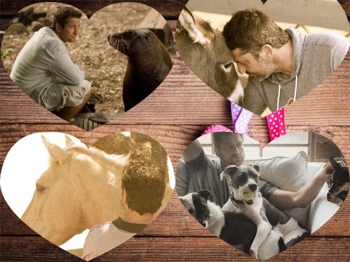 collage (1).jpg