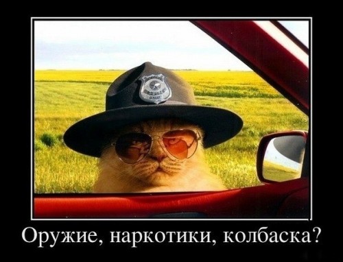 http://gbutler.ru/forum/download/file.php?id=6897&amp;t=1&amp;sid=bfd5ae425ecf53562a5a8709c2c0d314