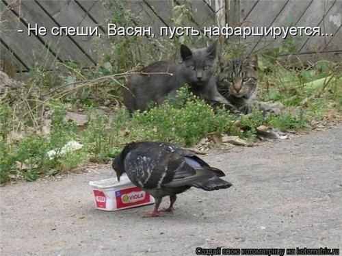 http://gbutler.ru/forum/download/file.php?id=6909&amp;t=1
