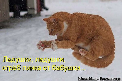 http://gbutler.ru/forum/download/file.php?id=7033&amp;t=1