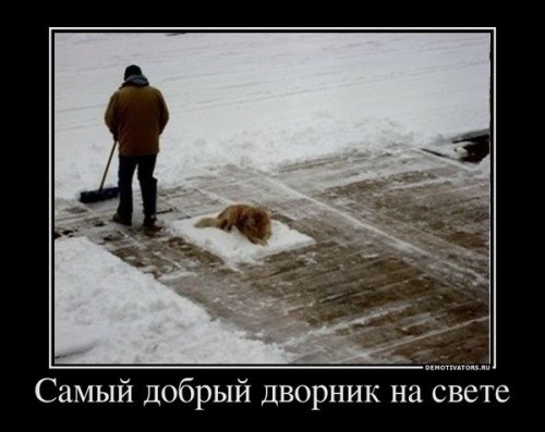 http://gbutler.ru/forum/download/file.php?id=7055&amp;t=1