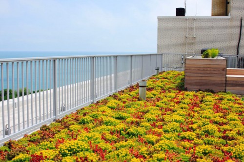 AGA-Beautiful-Green-Roof-1024x681.jpg