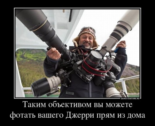 678354_takim-obektivom-vyi-mozhete-fotat-vashego-dzherri-pryam-iz-doma_demotivators_ru[1].jpg