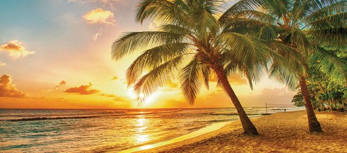 1155x510_barbados.jpg