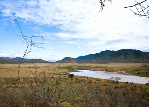 nacionalnyy_park_mkomazi.jpg