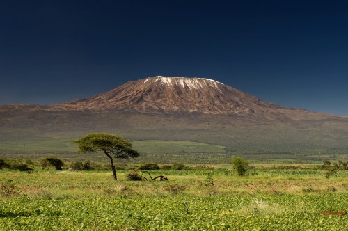 kenia.jpg