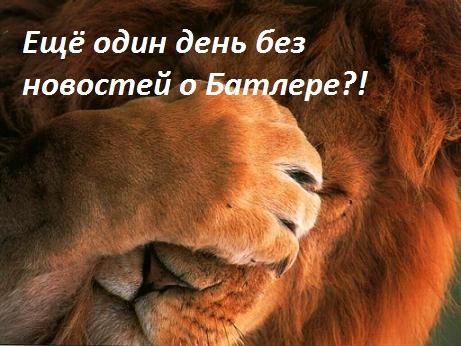 otkritka-lvi_tigri_i_ris_2[1]не может быть!.jpg