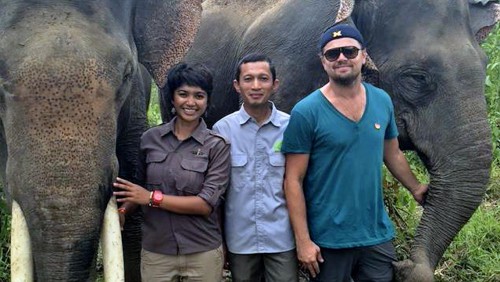 leonardo-di-caprio-elefanti-sumatra.jpg