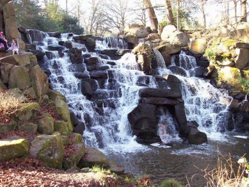 6f40958df9b34fac7b1d22a7e22abfce--virginia-cascade.jpg