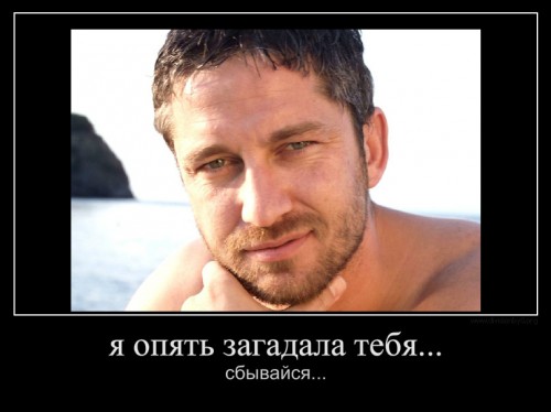 14404816180468.jpg