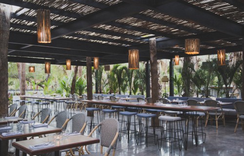 acre-baja-thanksgiving-los-cabos.jpg