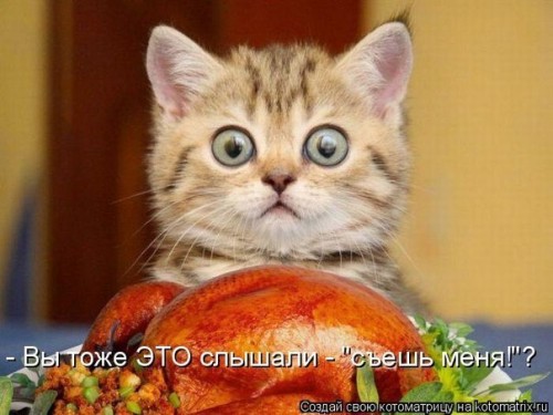 http://gbutler.ru/forum/download/file.php?id=8280&amp;t=1