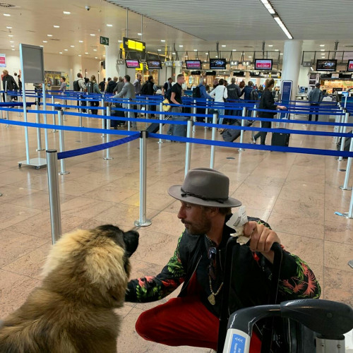 bodo_the_leo_B2Jr4mQIFPU.jpg