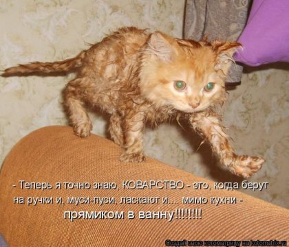 http://gbutler.ru/forum/download/file.php?id=9246