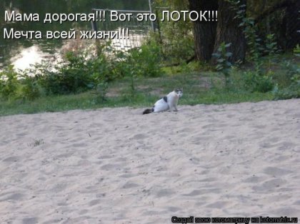 http://gbutler.ru/forum/download/file.php?id=9247