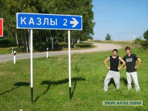 n2.jpg